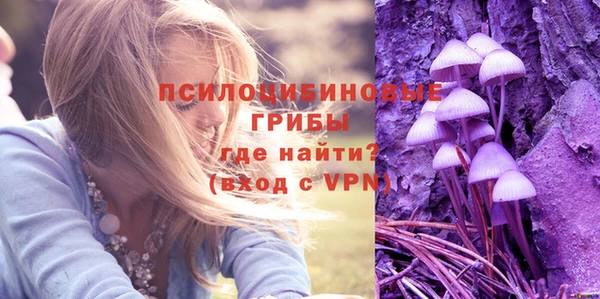 гидра Лагань
