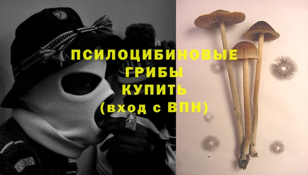 прущие грибы Липки