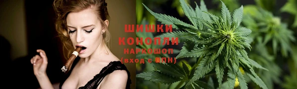 гидра Лагань