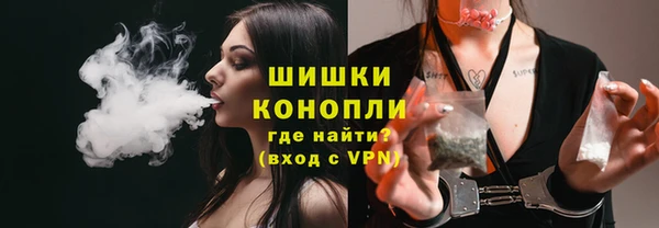 гидра Лагань