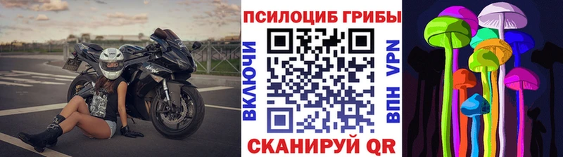 мега ссылка  Навашино  Псилоцибиновые грибы мухоморы 